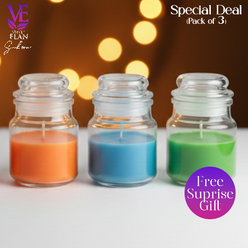 Candle Sukoon - Special Deal - Pack of 3 with Gift - Rs.2990